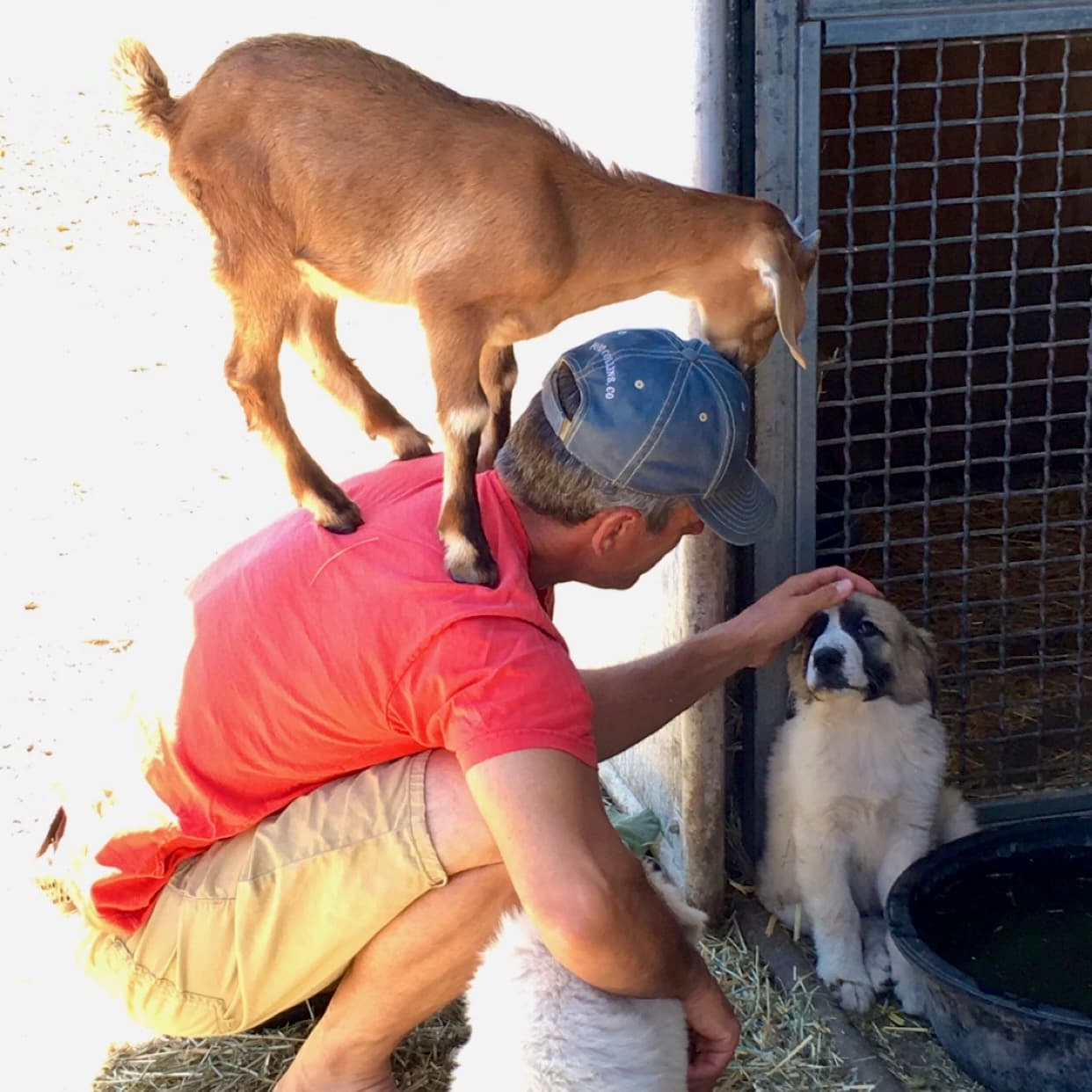 Chris with dog and goat